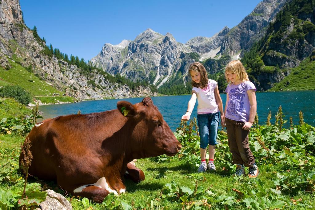 Wander- Und Familienhotel Erika Wagrain Dış mekan fotoğraf